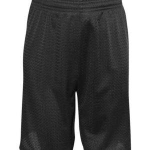 Youth Mesh Shorts